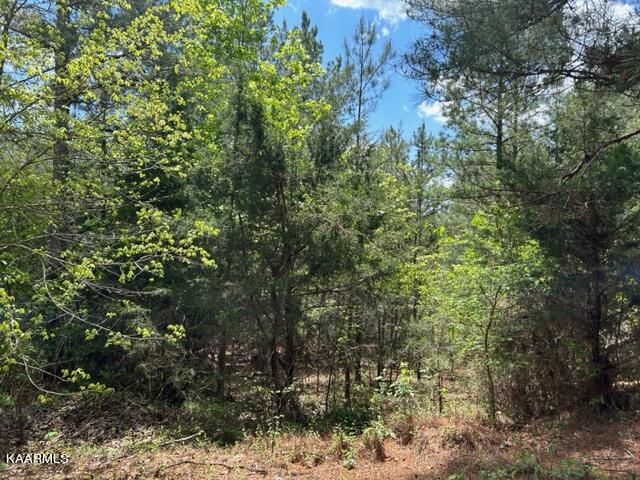 11 Liggett Road Decatur, TN 37322 - Photo 23 of 48 IMG_1016