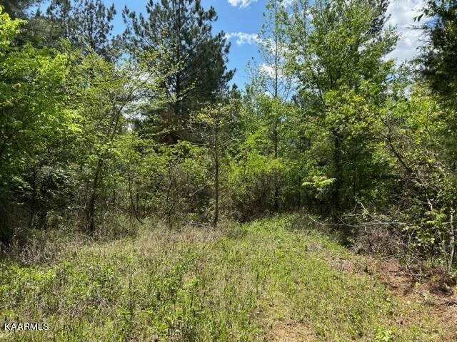 11 Liggett Road Decatur, TN 37322 - Photo 26 of 48 IMG_1014