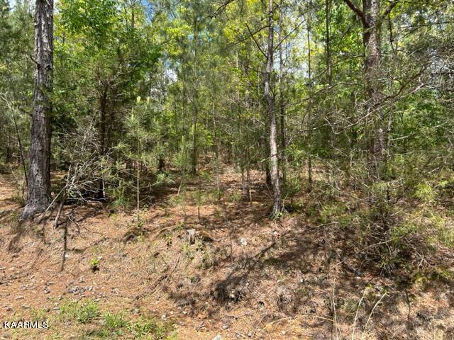 11 Liggett Road Decatur, TN 37322 - Photo 27 of 48 IMG_1015