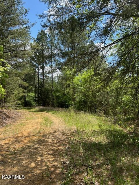 11 Liggett Road Decatur, TN 37322 - Photo 28 of 48 IMG_1021