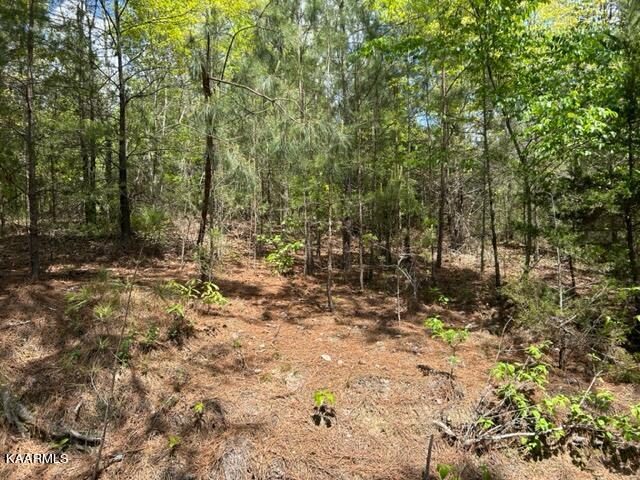 11 Liggett Road Decatur, TN 37322 - Photo 29 of 48 IMG_1017
