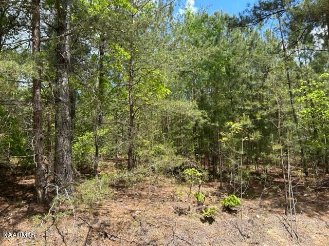 11 Liggett Road Decatur, TN 37322 - Photo 31 of 48 IMG_1019