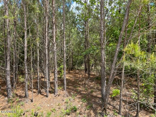 11 Liggett Road Decatur, TN 37322 - Photo 32 of 48 IMG_1005
