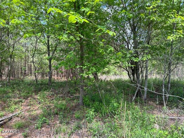 11 Liggett Road Decatur, TN 37322 - Photo 33 of 48 IMG_1001