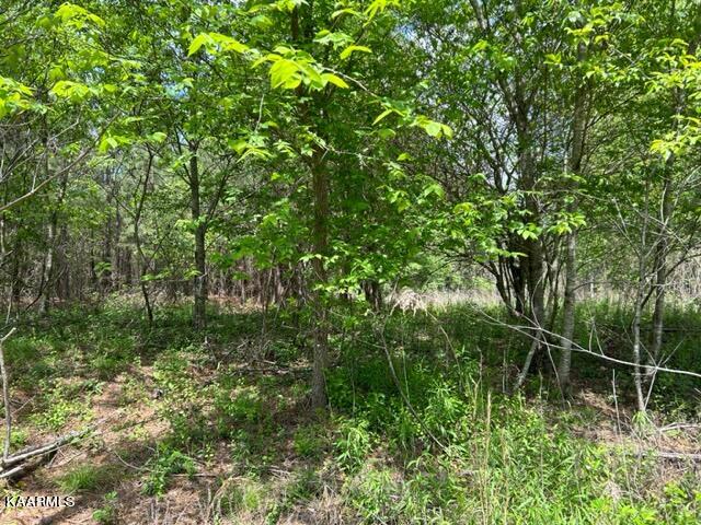 11 Liggett Road Decatur, TN 37322 - Photo 34 of 48 IMG_1002