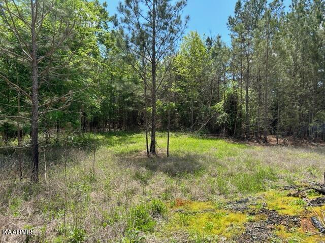 11 Liggett Road Decatur, TN 37322 - Photo 35 of 48 IMG_1003