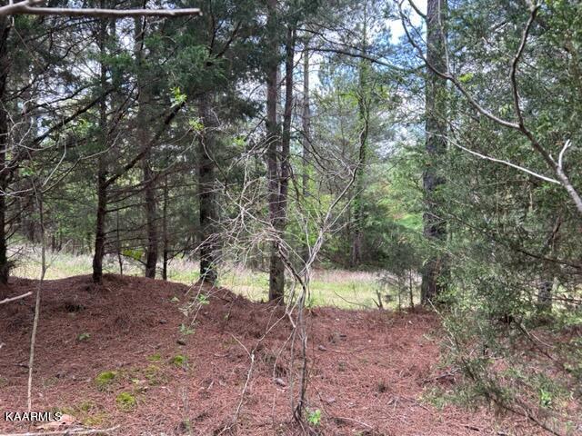 11 Liggett Road Decatur, TN 37322 - Photo 37 of 48 IMG_1011
