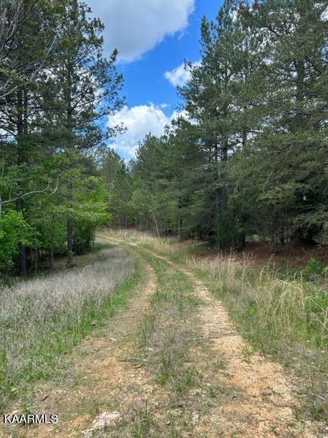 11 Liggett Road Decatur, TN 37322 - Photo 38 of 48 IMG_1006