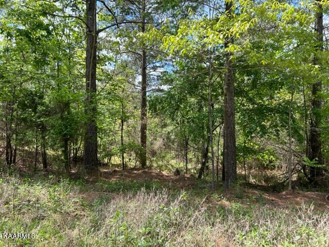 11 Liggett Road Decatur, TN 37322 - Photo 40 of 48 IMG_1009