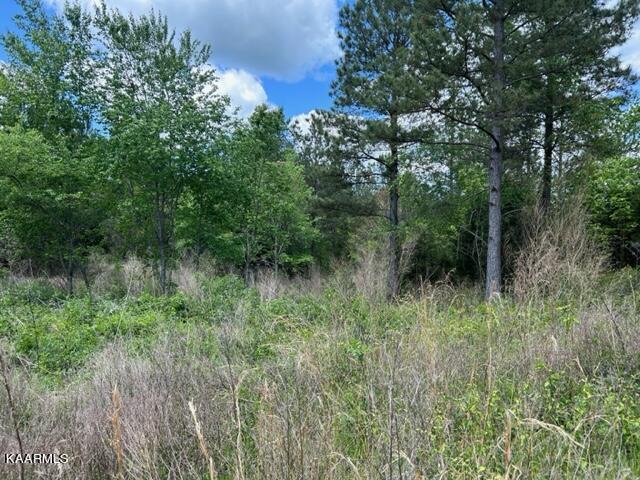 11 Liggett Road Decatur, TN 37322 - Photo 45 of 48 IMG_0998