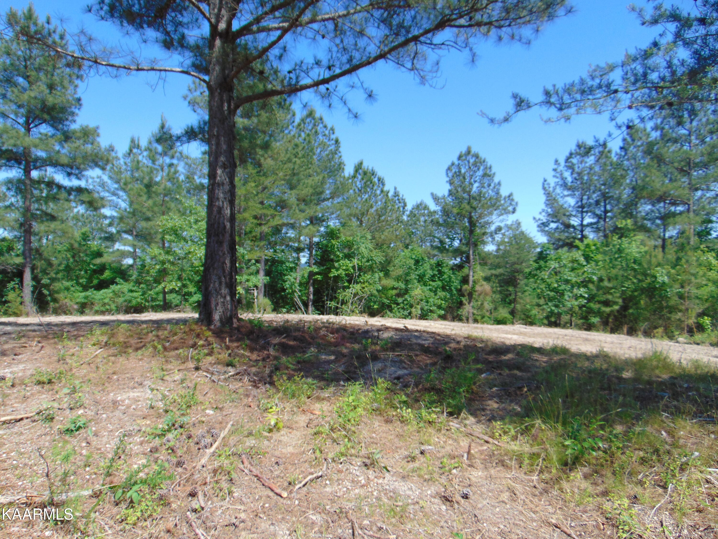11 Liggett Road Decatur, TN 37322 - Photo 46 of 48 Lig 3
