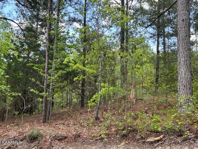 11 Liggett Road Decatur, TN 37322 - Photo 9 of 48 IMG_1033