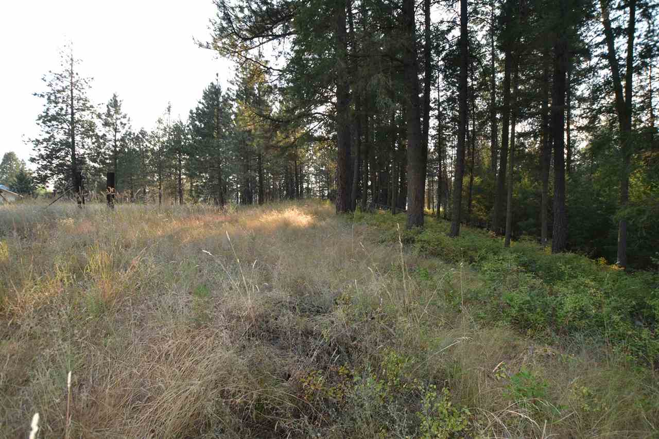 9011 East Bridges Road Elk, WA 99009 - Photo 11 of 20