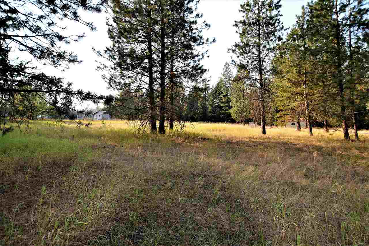 9011 East Bridges Road Elk, WA 99009 - Photo 12 of 20