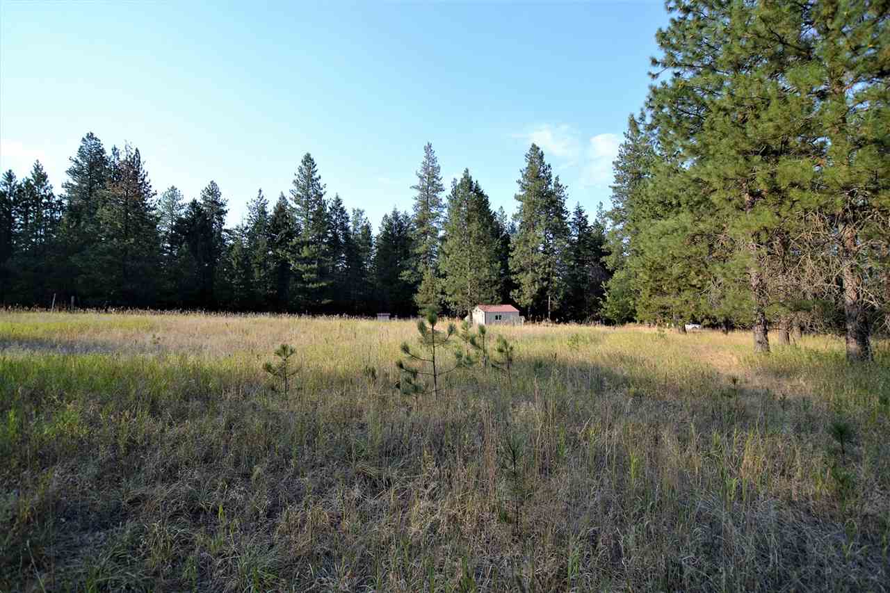 9011 East Bridges Road Elk, WA 99009 - Photo 13 of 20