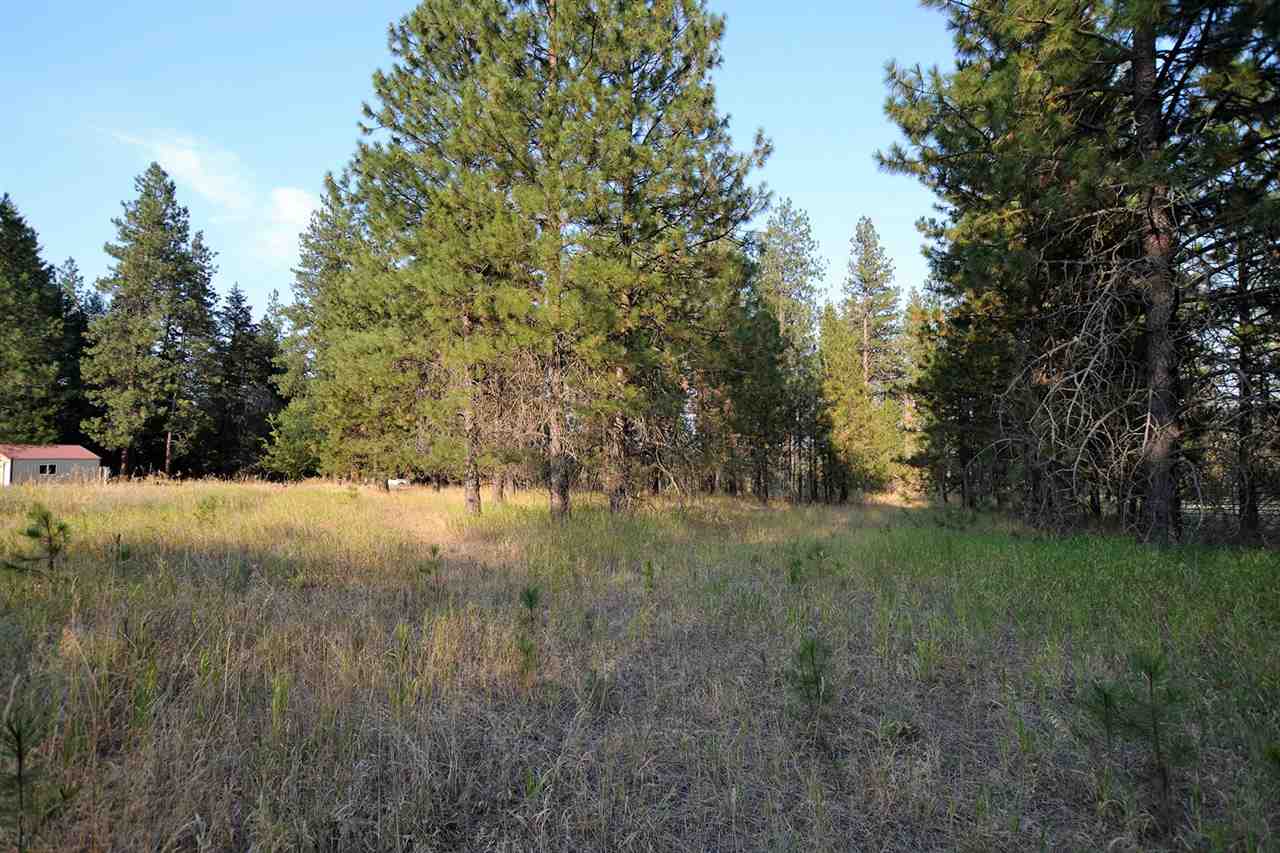 9011 East Bridges Road Elk, WA 99009 - Photo 14 of 20