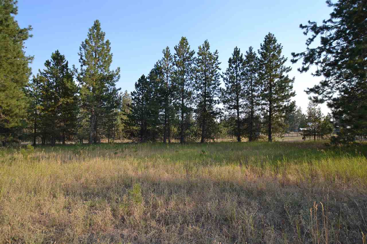 9011 East Bridges Road Elk, WA 99009 - Photo 15 of 20