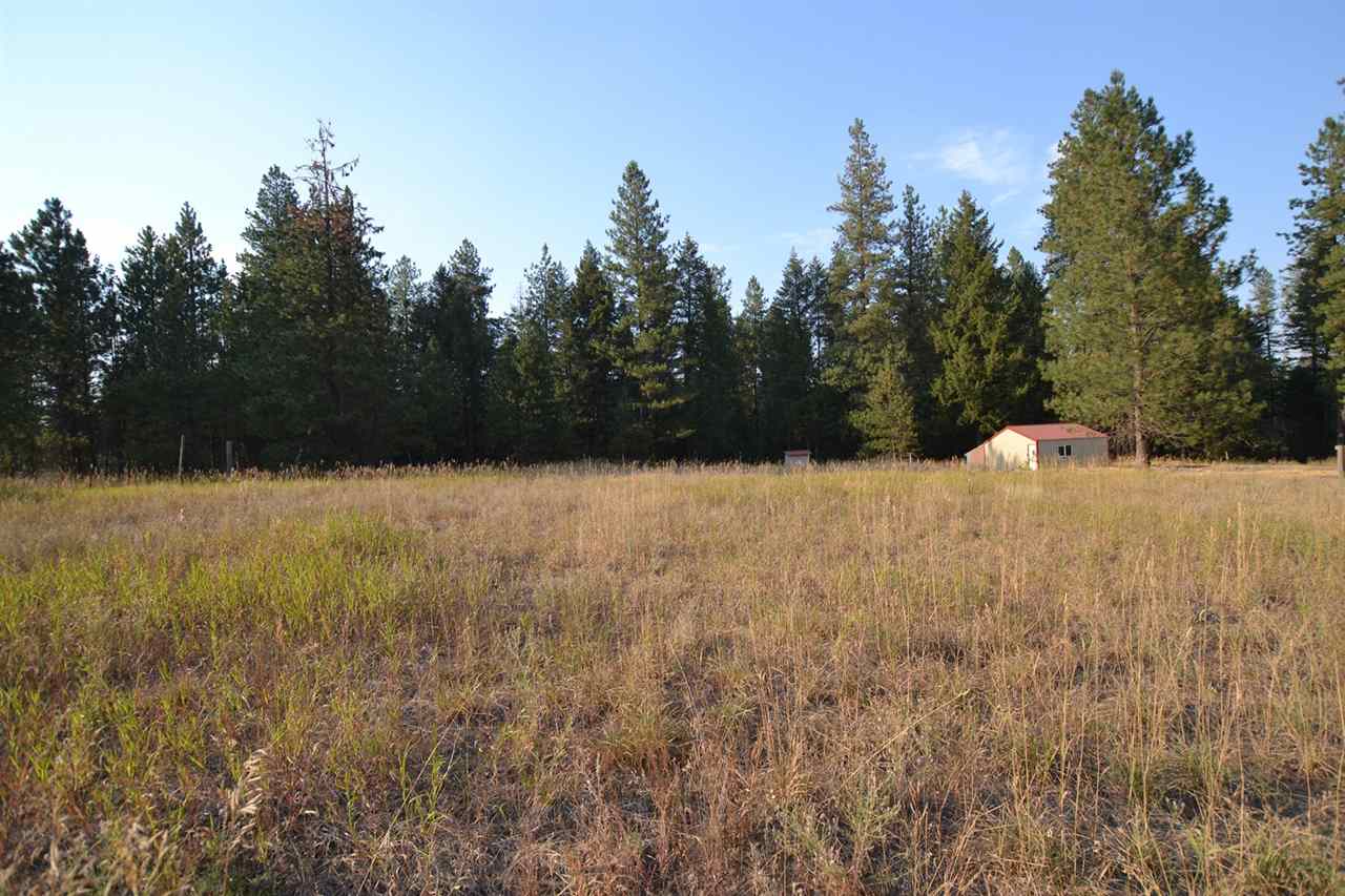 9011 East Bridges Road Elk, WA 99009 - Photo 16 of 20