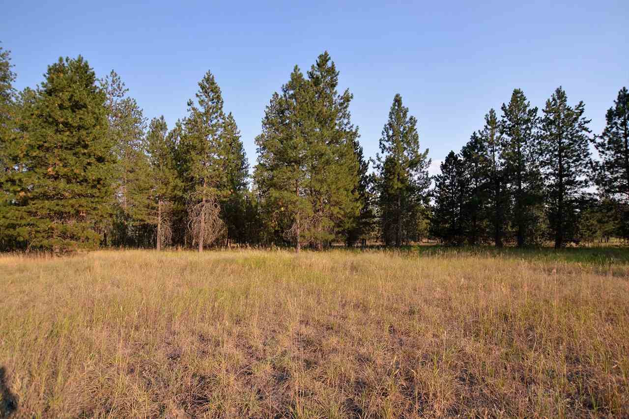 9011 East Bridges Road Elk, WA 99009 - Photo 17 of 20