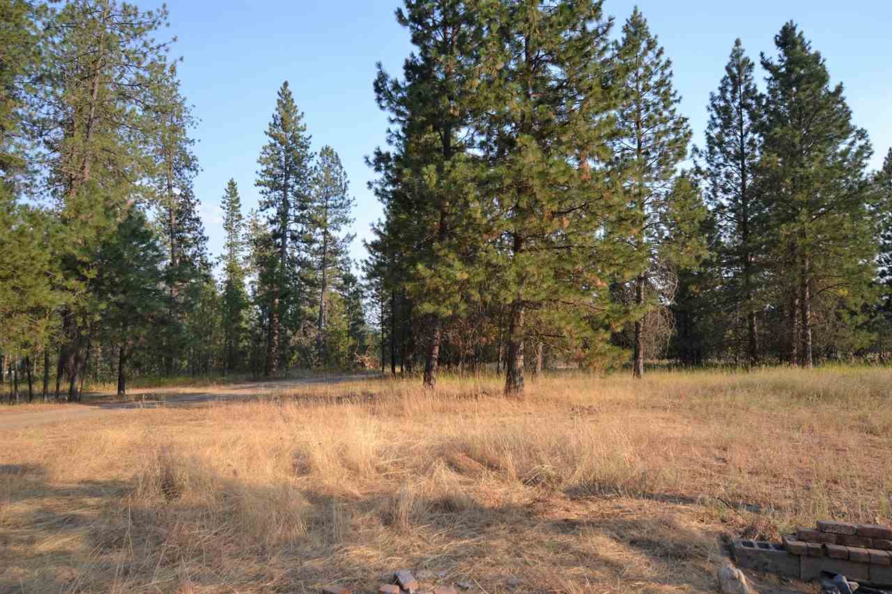9011 East Bridges Road Elk, WA 99009 - Photo 19 of 20