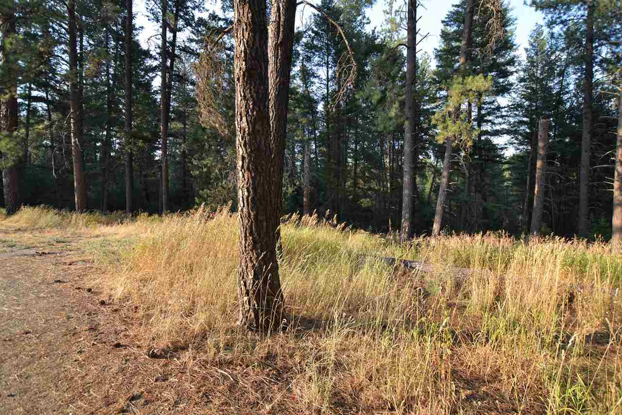 9011 East Bridges Road Elk, WA 99009 - Photo 20 of 20