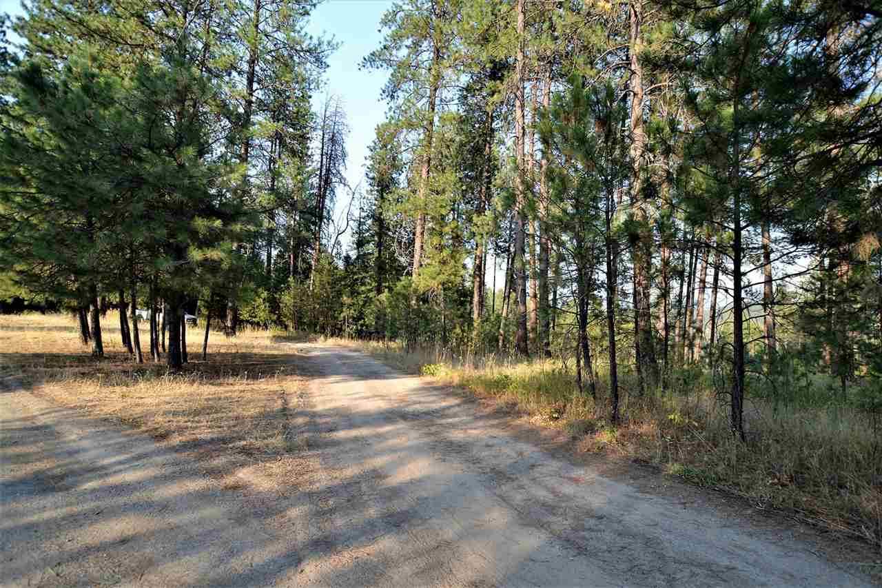 9011 East Bridges Road Elk, WA 99009 - Photo 3 of 20