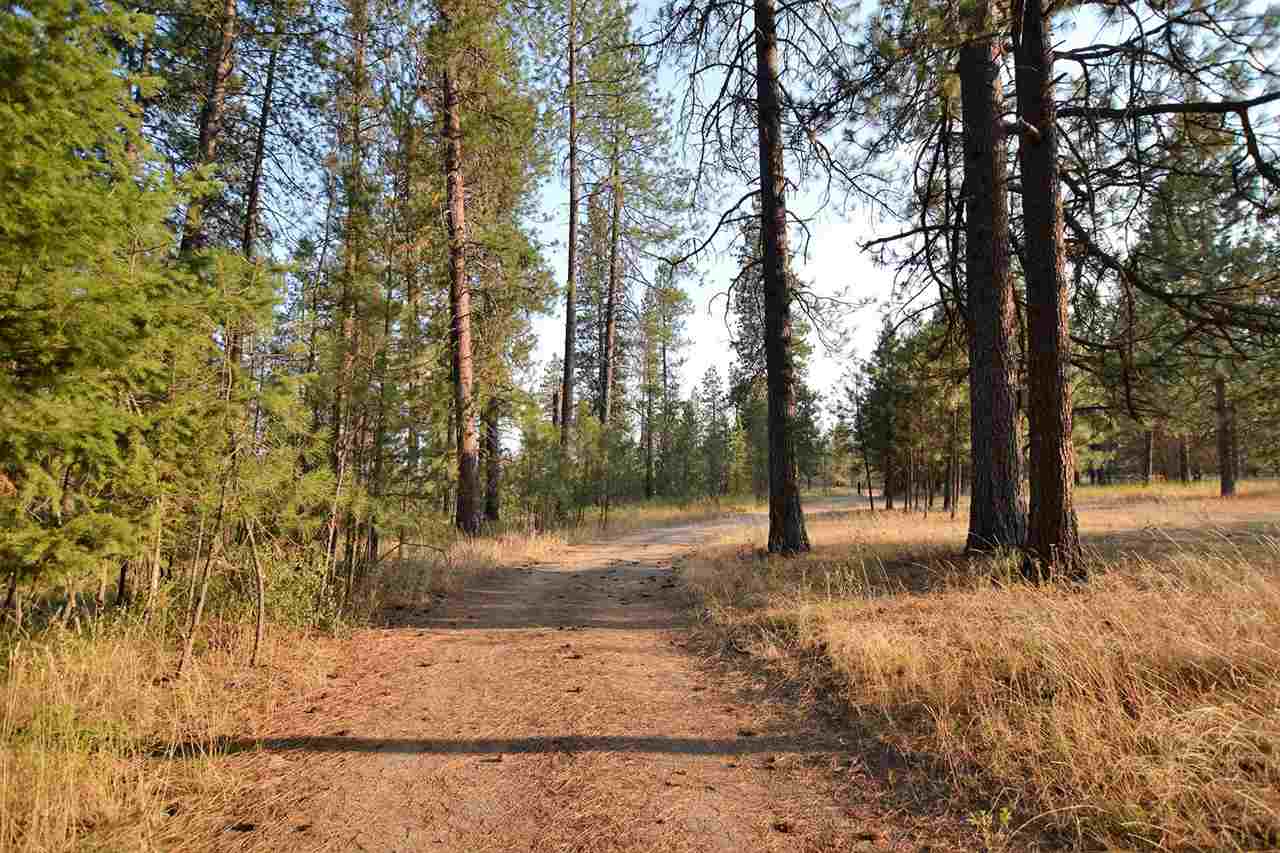 9011 East Bridges Road Elk, WA 99009 - Photo 4 of 20