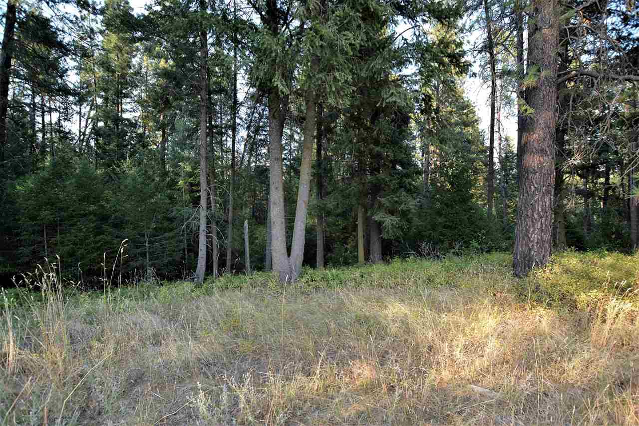 9011 East Bridges Road Elk, WA 99009 - Photo 10 of 20