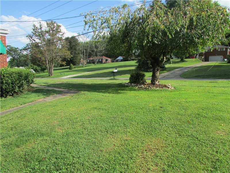 317 Rock Run Road Elizabeth, PA 15037 - Photo 18 of 20 Yard/Garden.