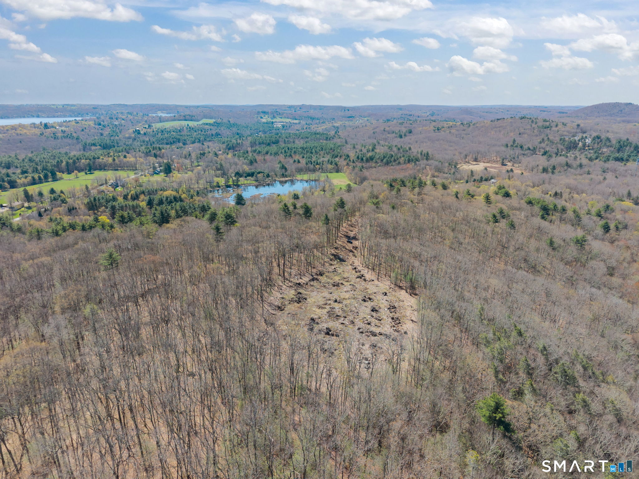 1222 Bantam Road Litchfield, CT 06750 - Photo 2 of 13 a view of a dry yard