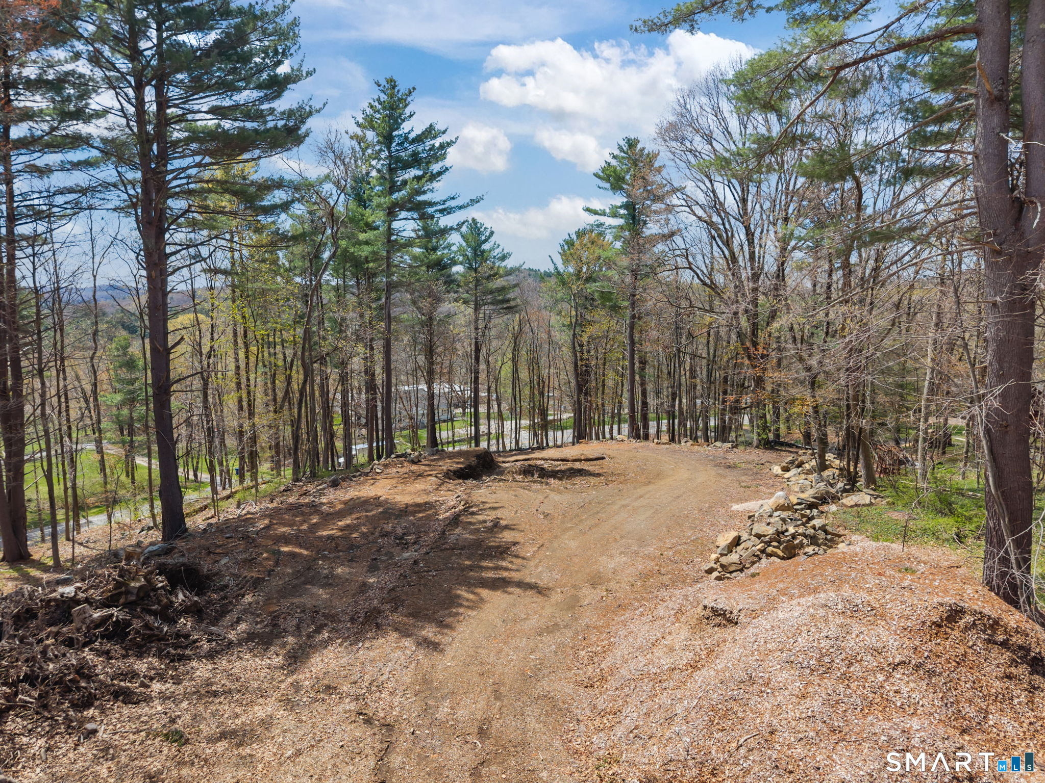 1222 Bantam Road Litchfield, CT 06750 - Photo 7 of 13 a view of a backyard with large trees