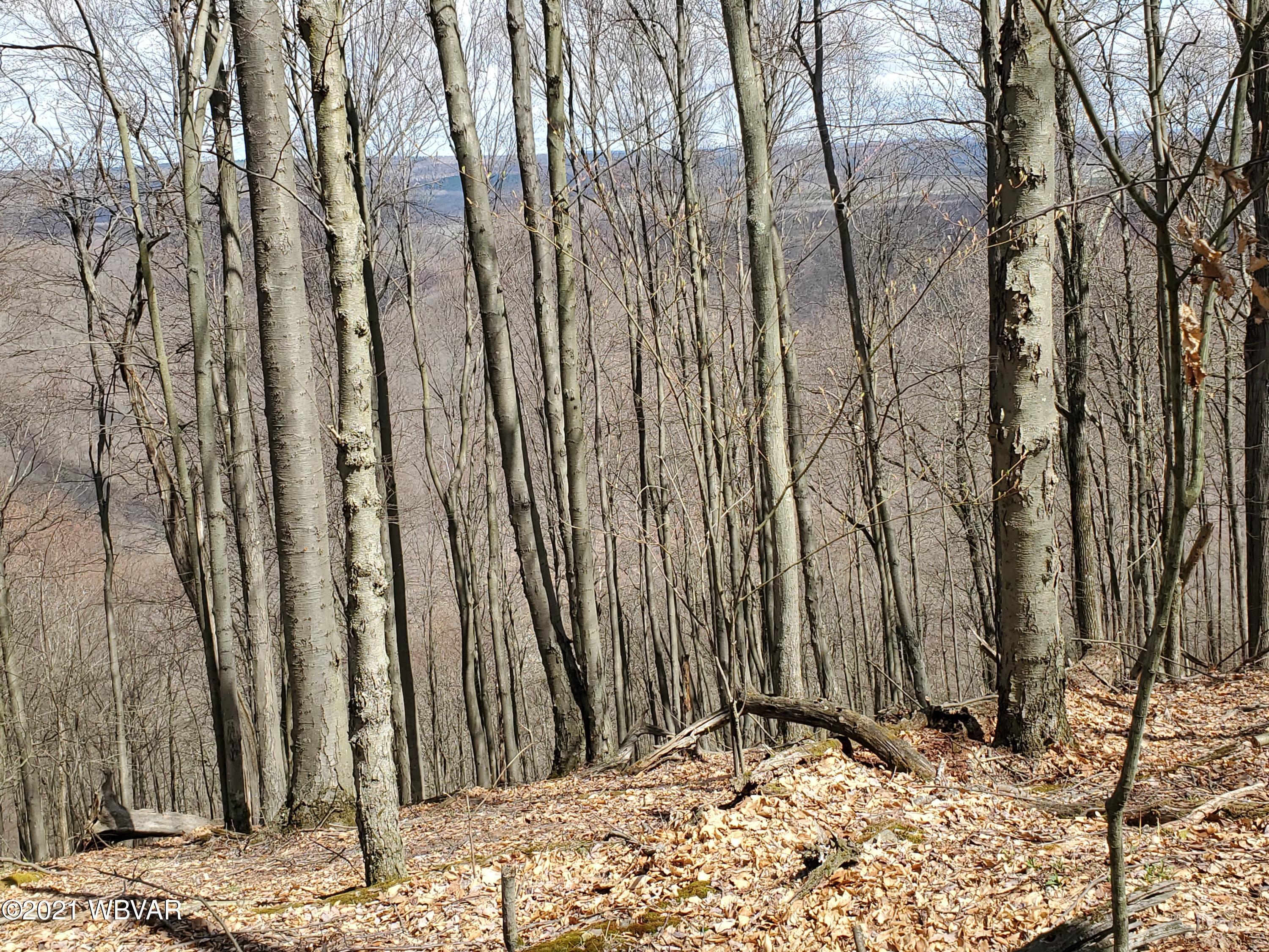 Ridge Road, Unit 83 Beech Creek, PA 16822 - Photo 25 of 27 Gallery Image 25