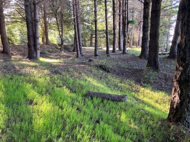 10 Gale Point Whitethorn, CA 95589 - Photo 8 of 20 building site access from culdesac