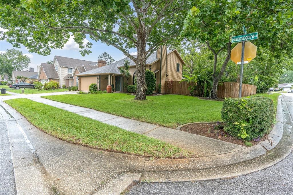 7230 Hummingbird Lane New Port Richey, FL 34655 - Photo 39 of 41 a front view of a house with a yard and trees
