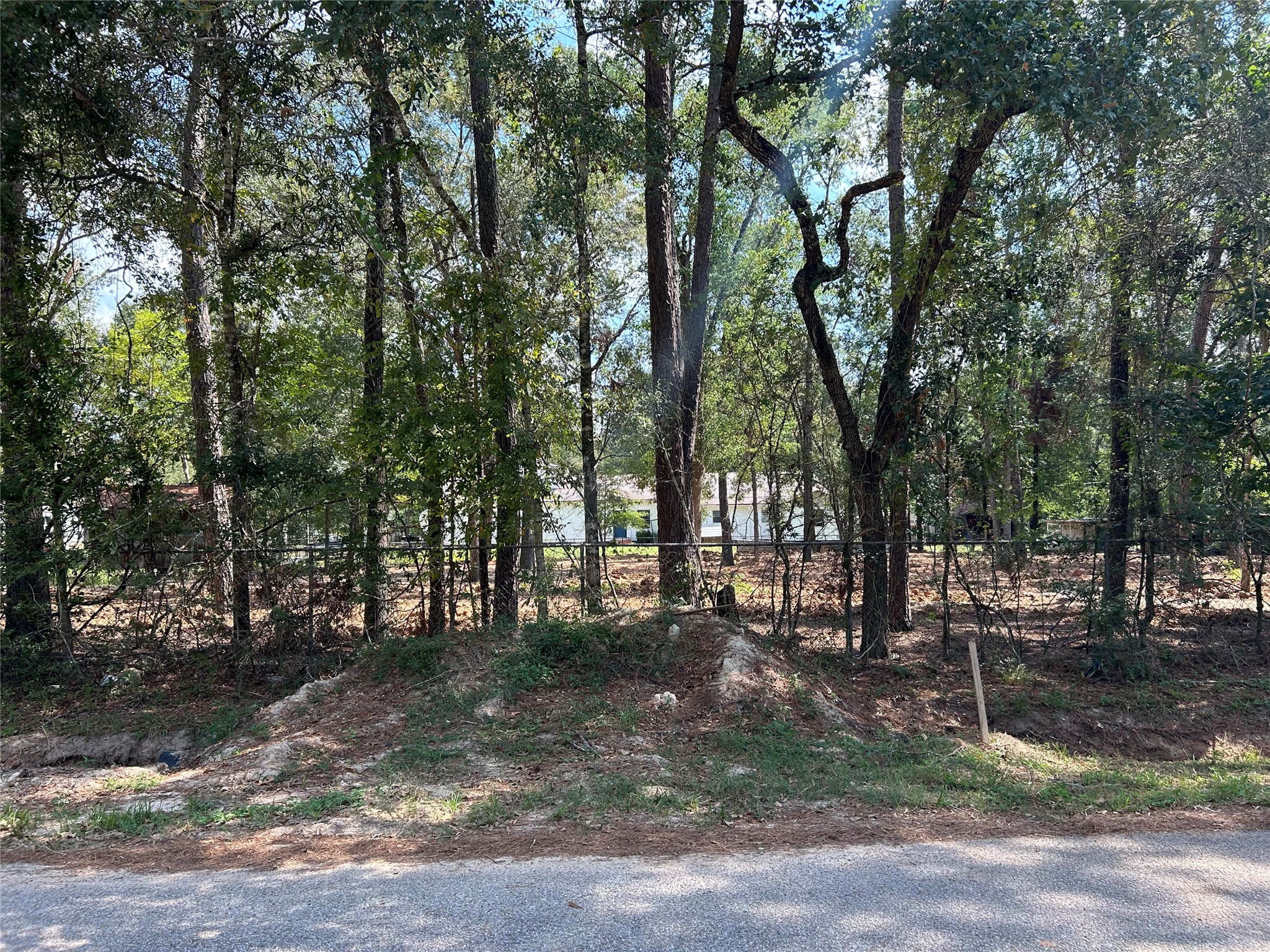 33102 Octavia Drive Magnolia, TX 77354 - Photo 8 of 9 a view of outdoor space with lots of trees