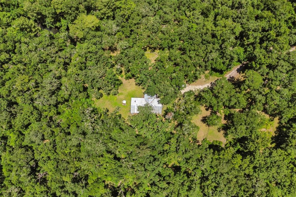 3002 Southwest 127th Avenue Webster, FL 33597 - Photo 21 of 22