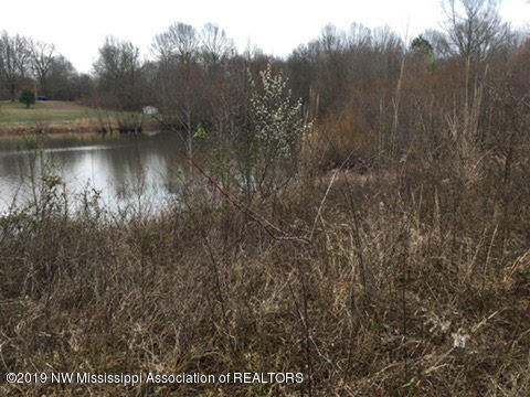 3270 J J Ranch Road Senatobia, MS 38668 - Photo 2 of 4 jj ranch road