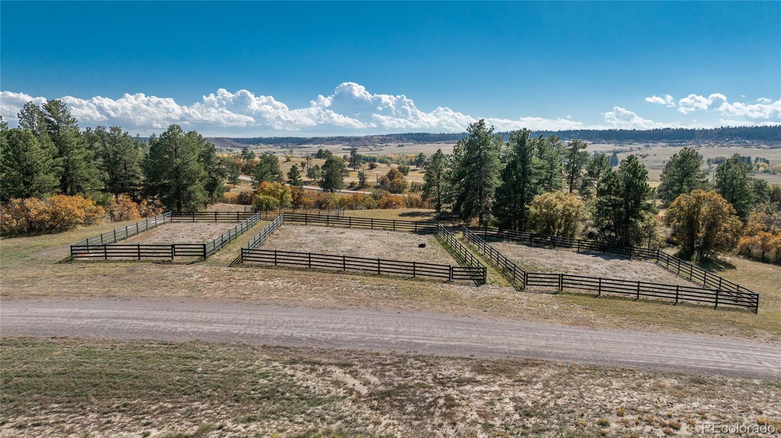 854 Russellville Road Franktown, CO 80116 - Photo 3 of 35 a view of a yard with table and chairs