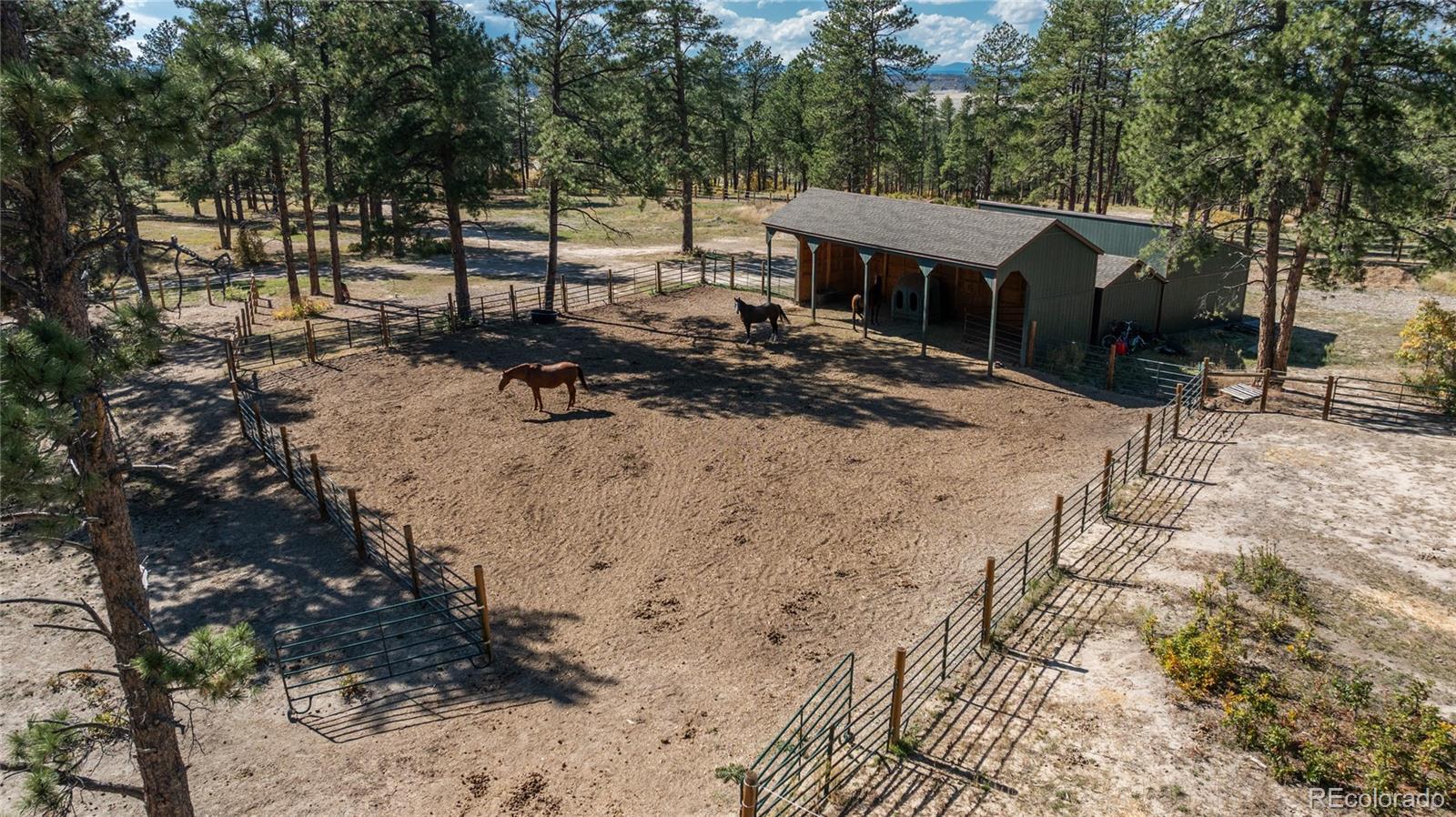854 Russellville Road Franktown, CO 80116 - Photo 8 of 35 a view of a backyard with a large tree