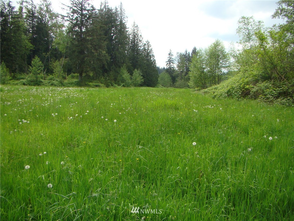 8364 Westergreen Road Sumas, WA 98295 - Photo 11 of 20