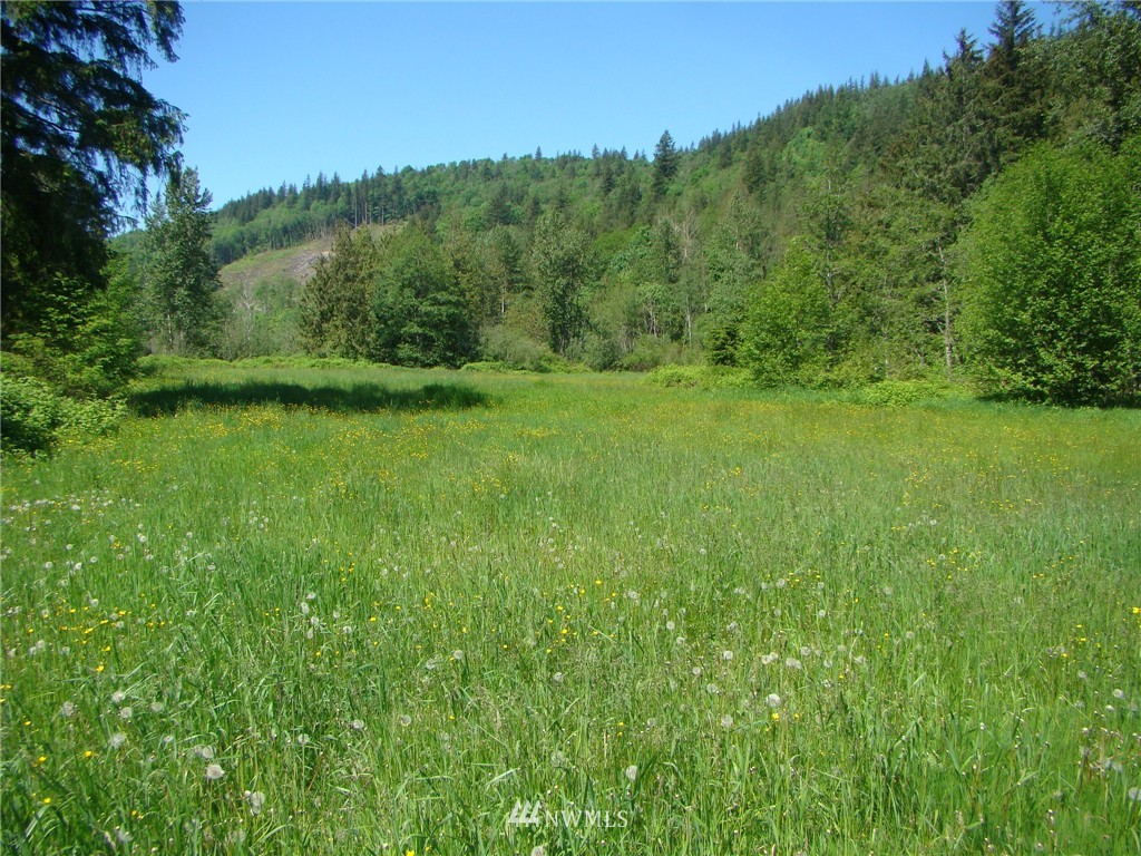 8364 Westergreen Road Sumas, WA 98295 - Photo 13 of 20