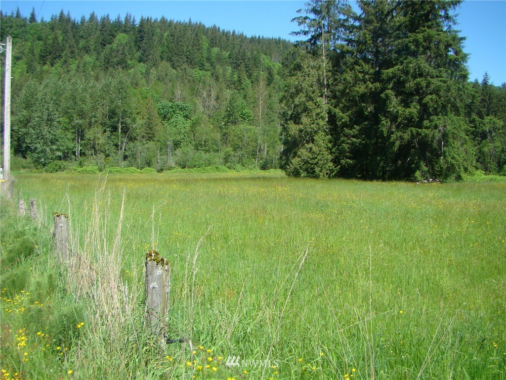 8364 Westergreen Road Sumas, WA 98295 - Photo 14 of 20