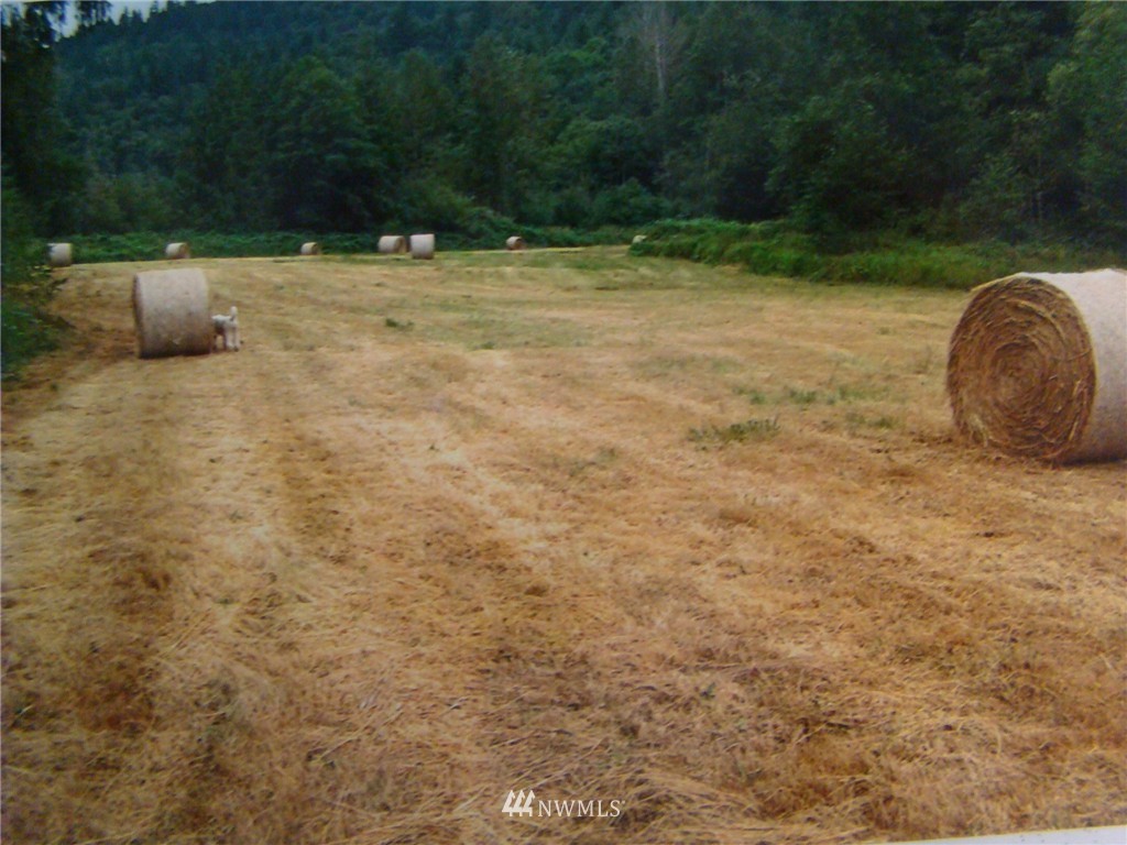 8364 Westergreen Road Sumas, WA 98295 - Photo 17 of 20
