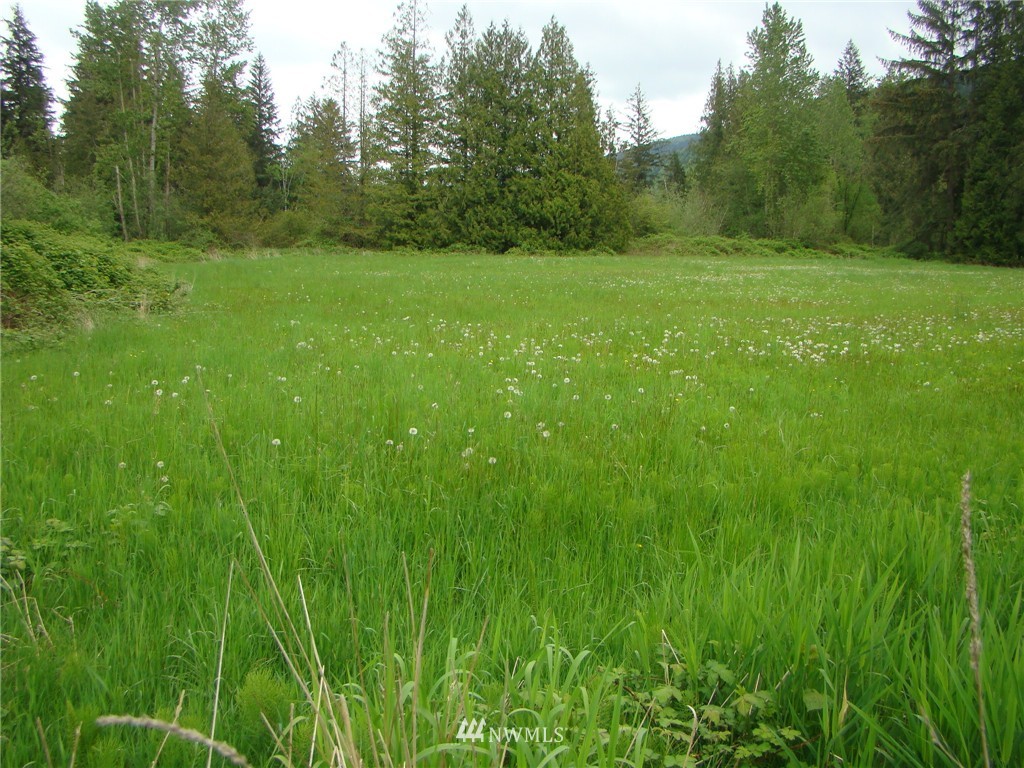 8364 Westergreen Road Sumas, WA 98295 - Photo 4 of 20