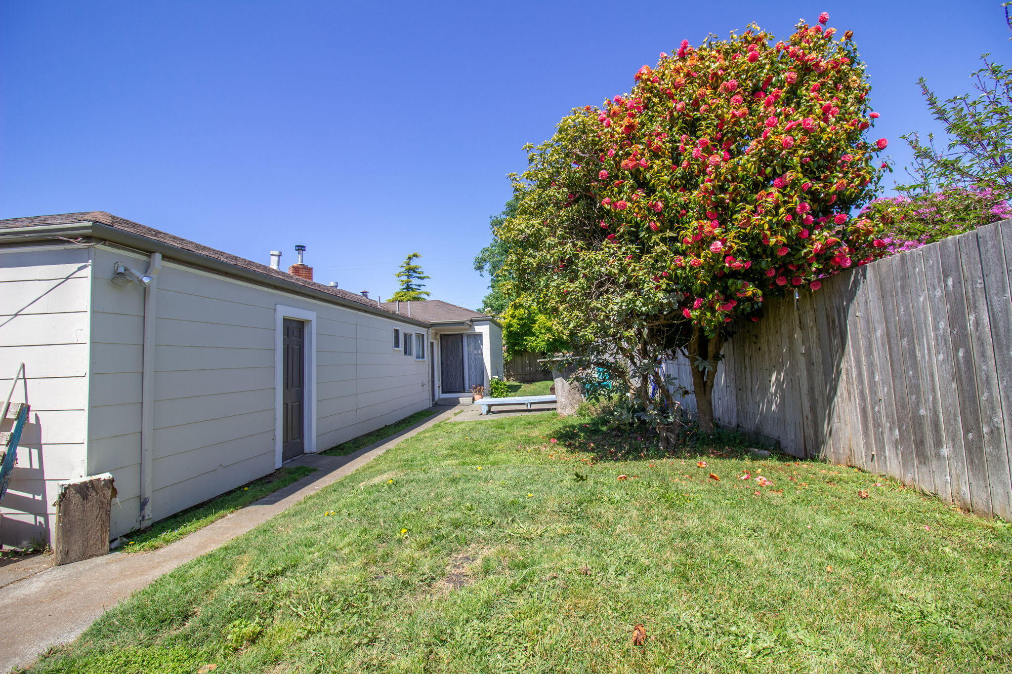 3205 R Street Eureka, CA 95503 - Photo 30 of 44