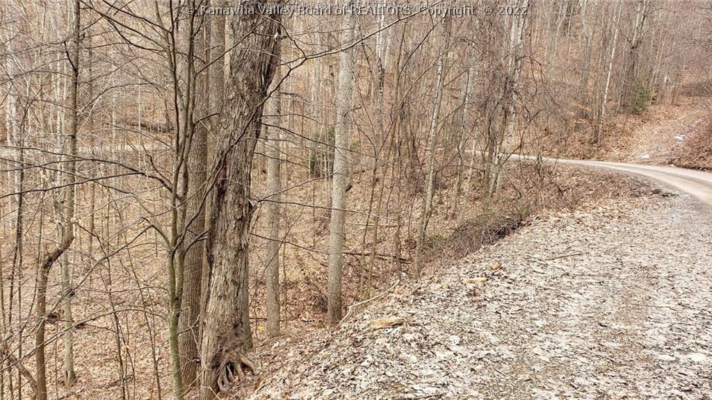 0 Surveyor Creek Road Lester, WV 25865 - Photo 10 of 22 Gallery Image 10