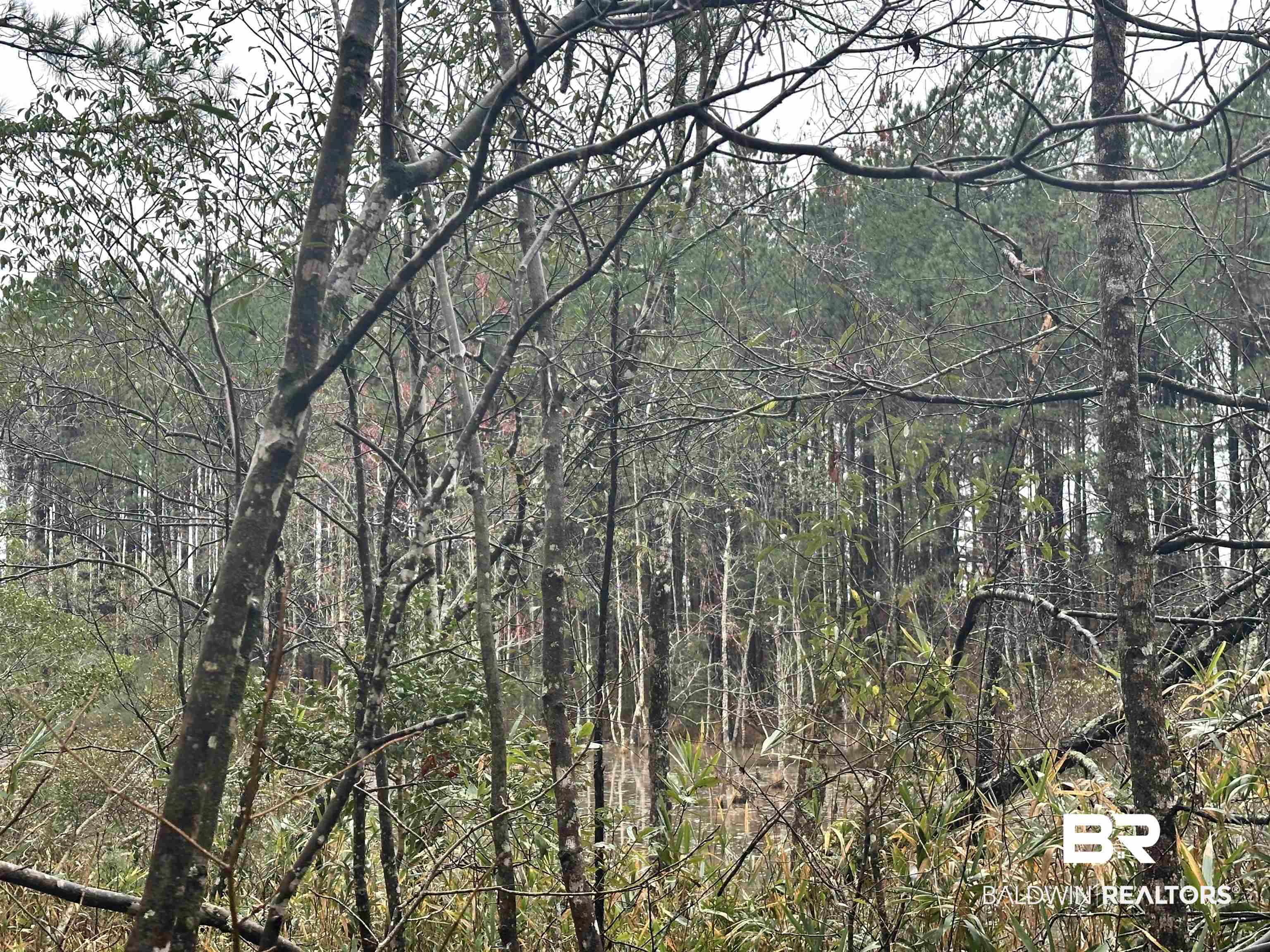 4549 J D Howard Road Tibbie, AL 36583 - Photo 11 of 33