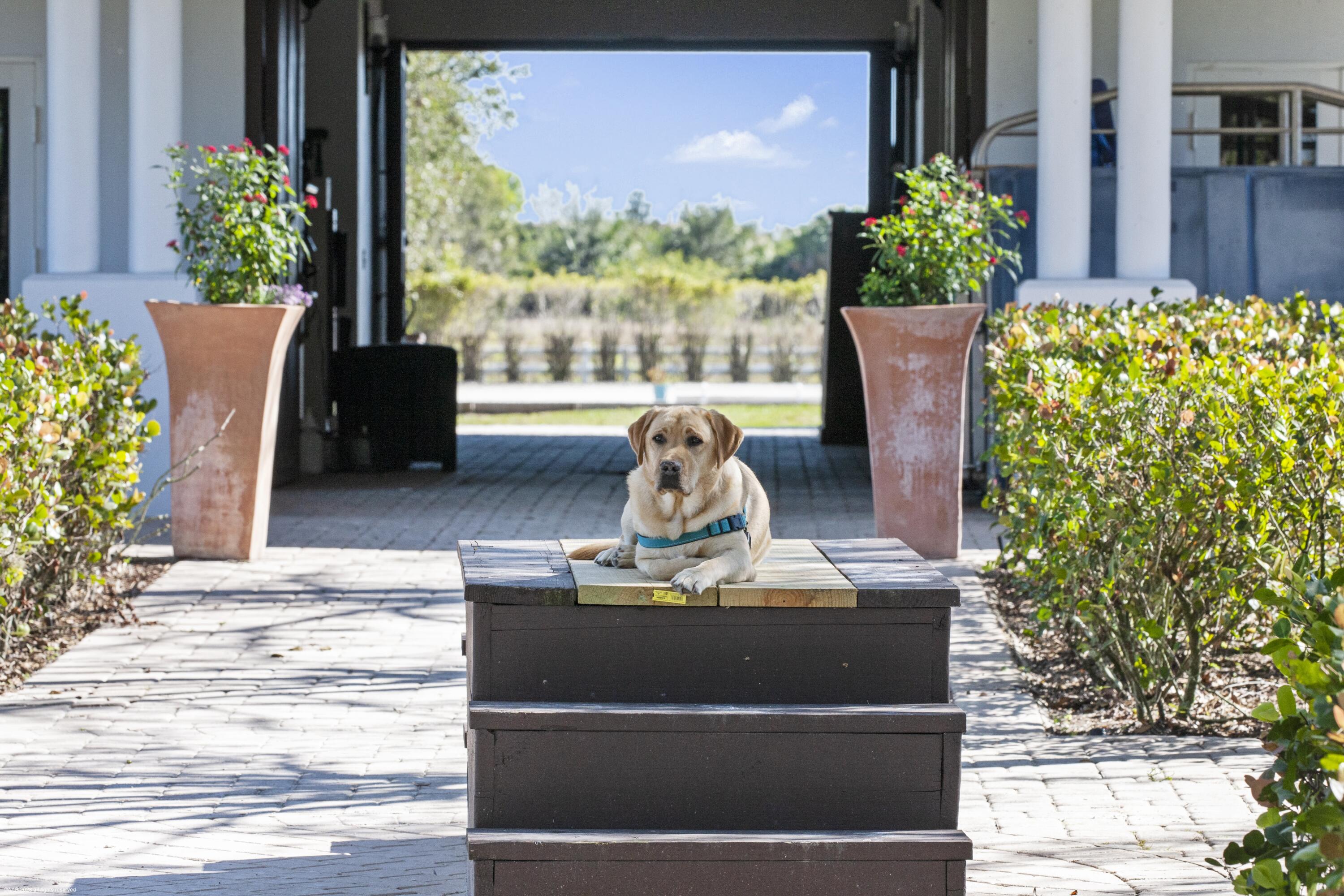 3790 Hanover Circle Loxahatchee, FL 33470 - Photo 17 of 73 a front view of a house with a fountain and potted plants