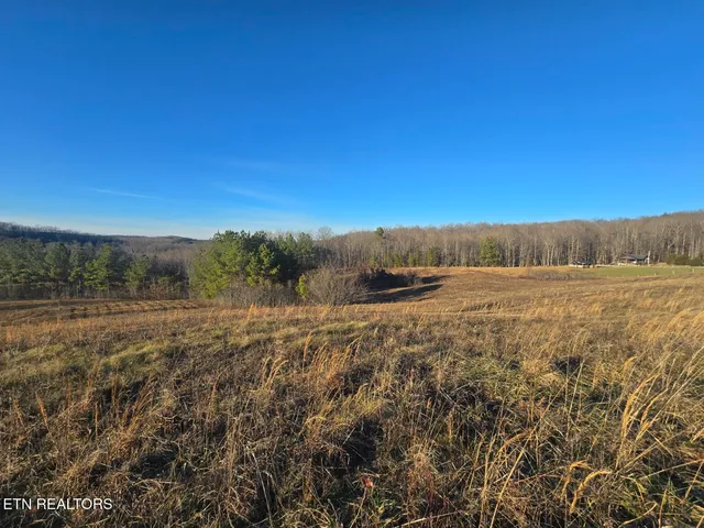 $80,960 | Lot 2 Honey Creek Road, Allardt, TN 38504