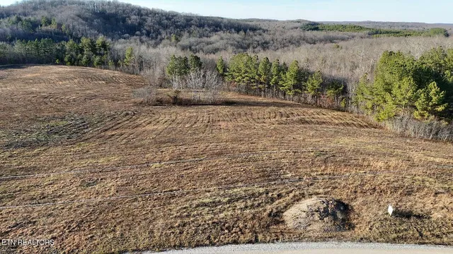 $80,960 | Lot 2 Honey Creek Road, Allardt, TN 38504